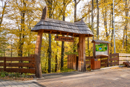 Lesopark2