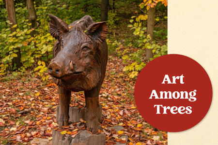 Art among the trees