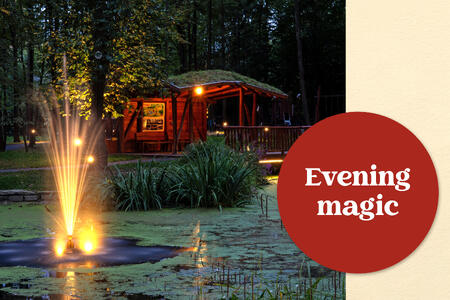 Evening magic